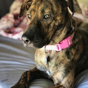 Meet your Posher, Jarek